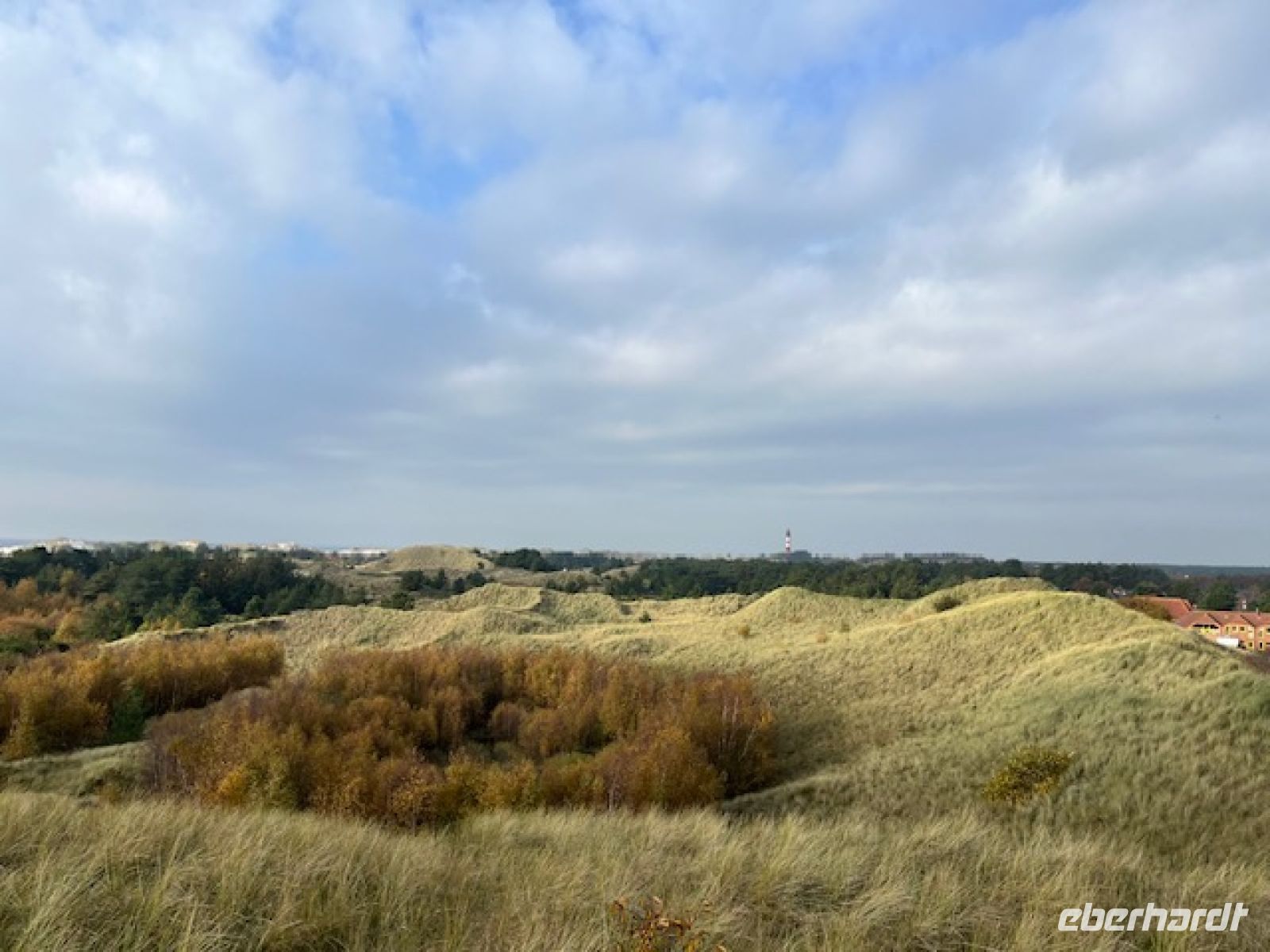 in den Dünen von Amrum