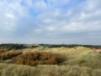 in den Dünen von Amrum