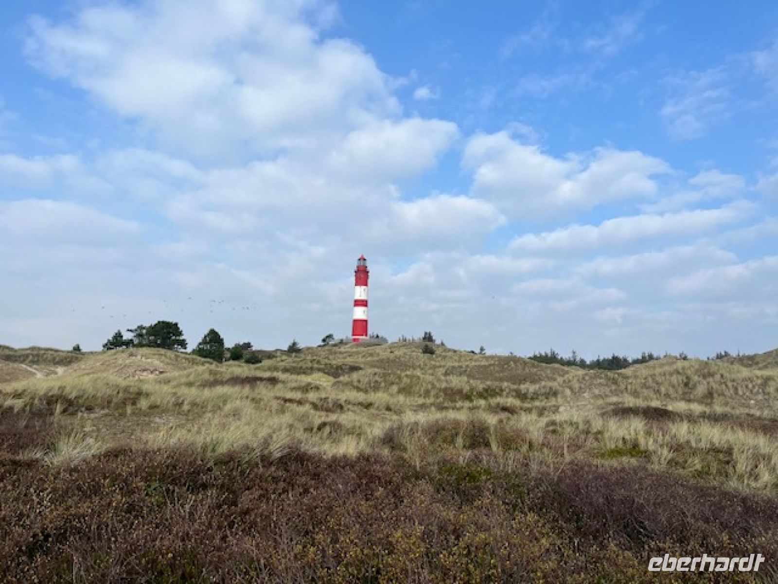 mitten in der Dünenlandschaft - wieder einmal der pittoreske Leuchtturm