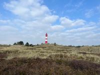 mitten in der Dünenlandschaft - wieder einmal der pittoreske Leuchtturm