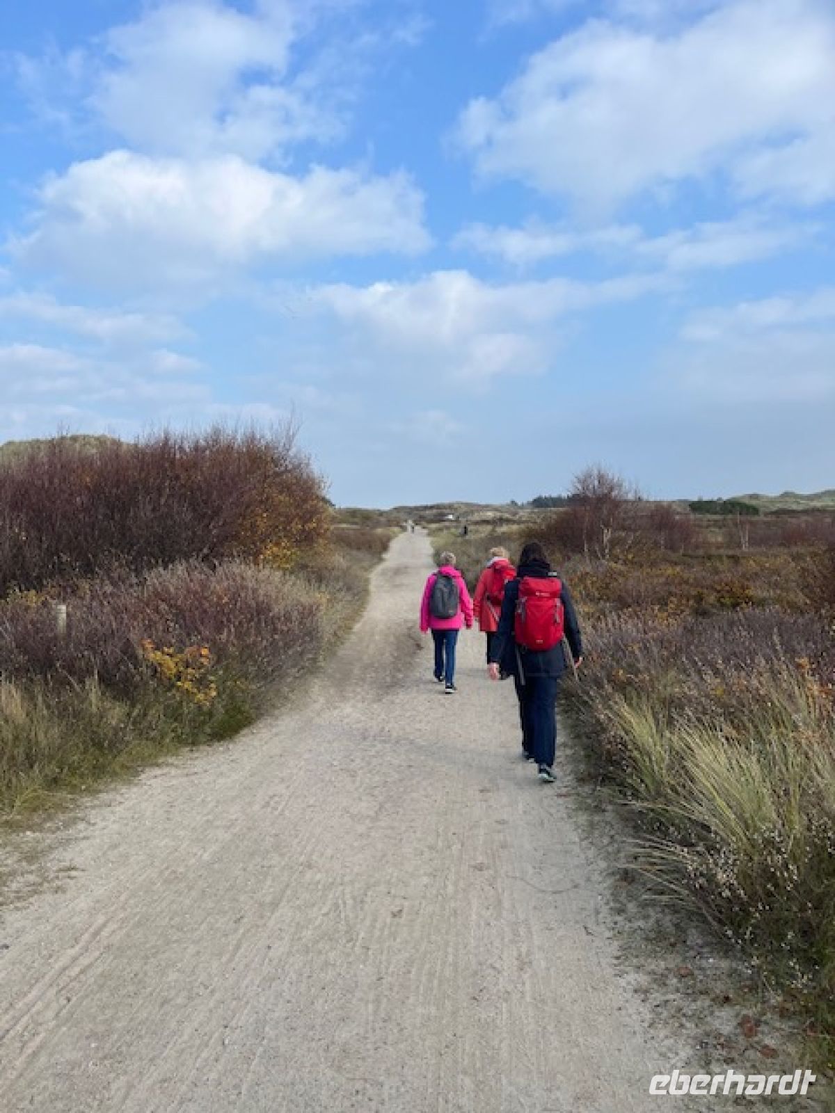 auf dem Weg durch die Heidebüsche