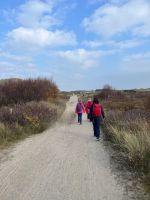 auf dem Weg durch die Heidebüsche