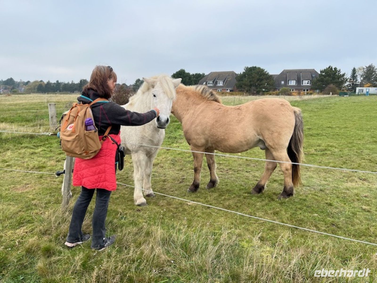 ... sie lassen sich auch mal anfassen
