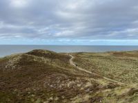 Sylter Dünenlandschaft