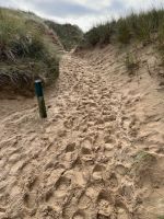 Sandwandern geht in die Beine....