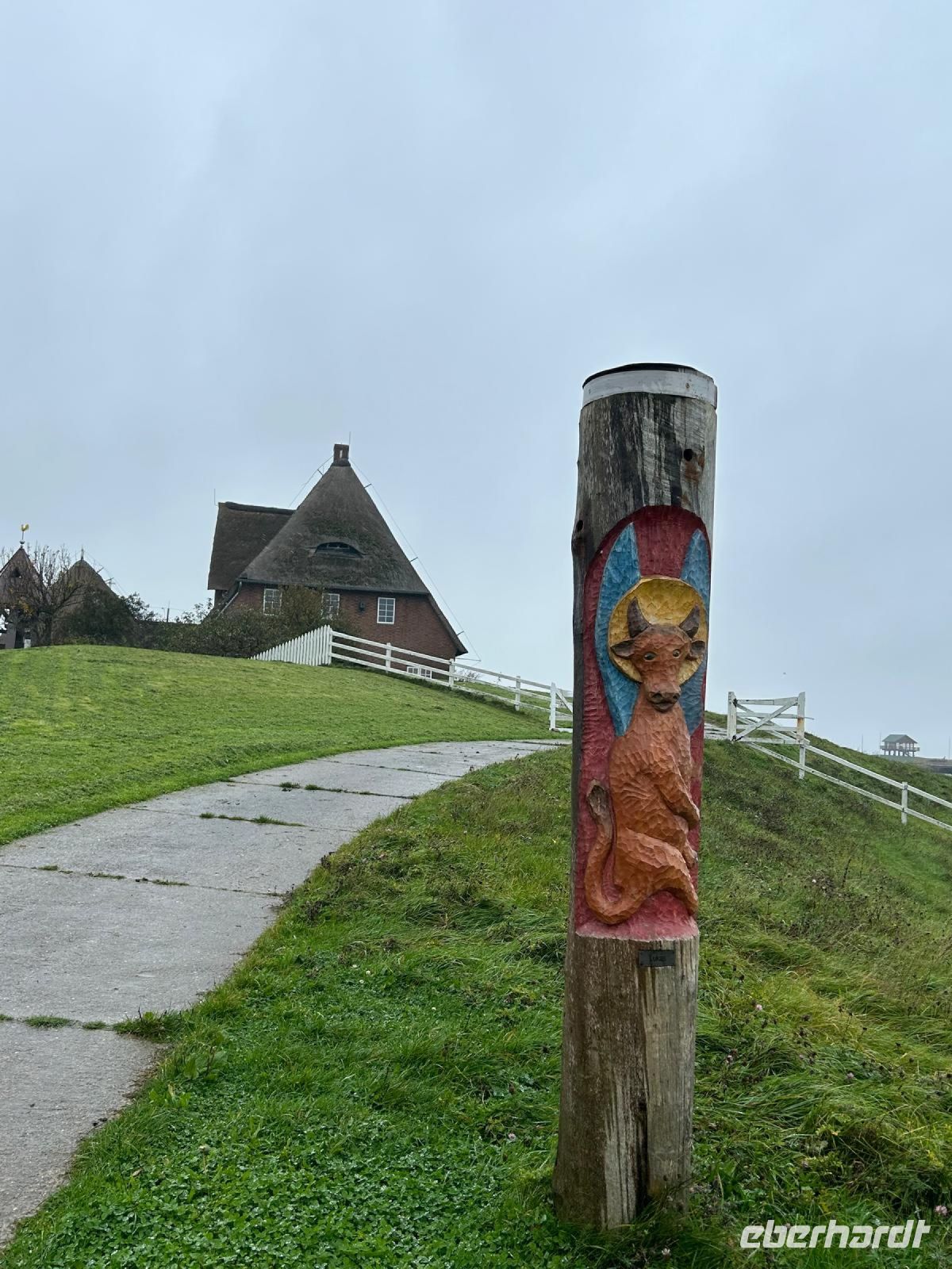 Die Kuh mit dem Heiligenschein