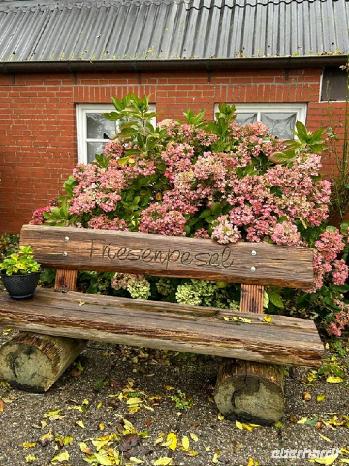 Einkehr im Friesenpesel