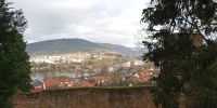 Tag 3 Blick auf Miltenberg von der Stadtmauer 