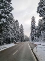Wintermärchen im Schwarzwald...