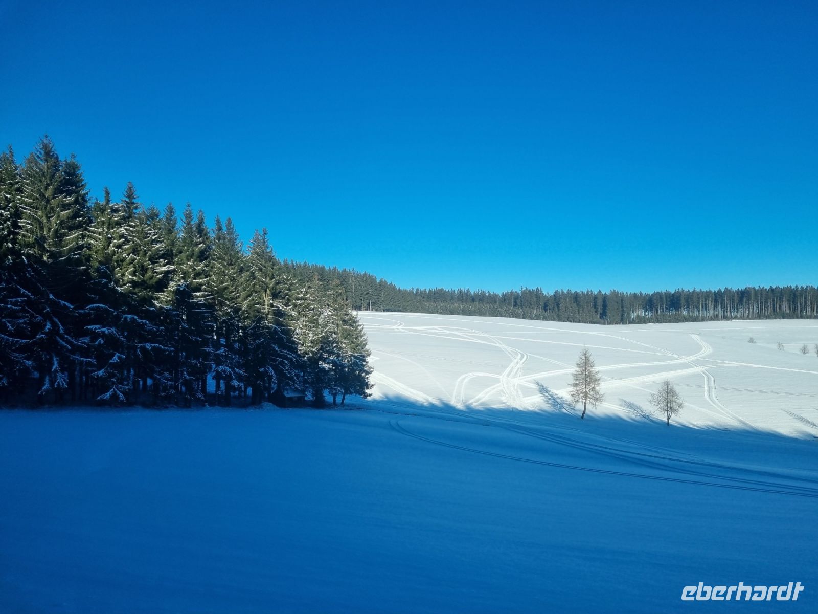 Wintermärchen im Schwarzwald...