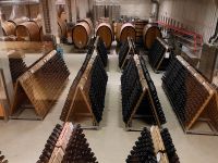 2024_Weihnachtsreise_Dresden: Weingut Wackerbarth - Blick in den Weinkeller