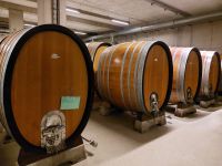 2024_Weihnachtsreise_Dresden: Weingut Wackerbarth - Weinfässer