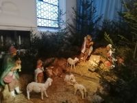 Die Weihnachtskrippe