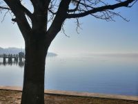 Blick über den Ammersee