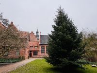 Tag 2 - Rathausgarten, Lüneburg