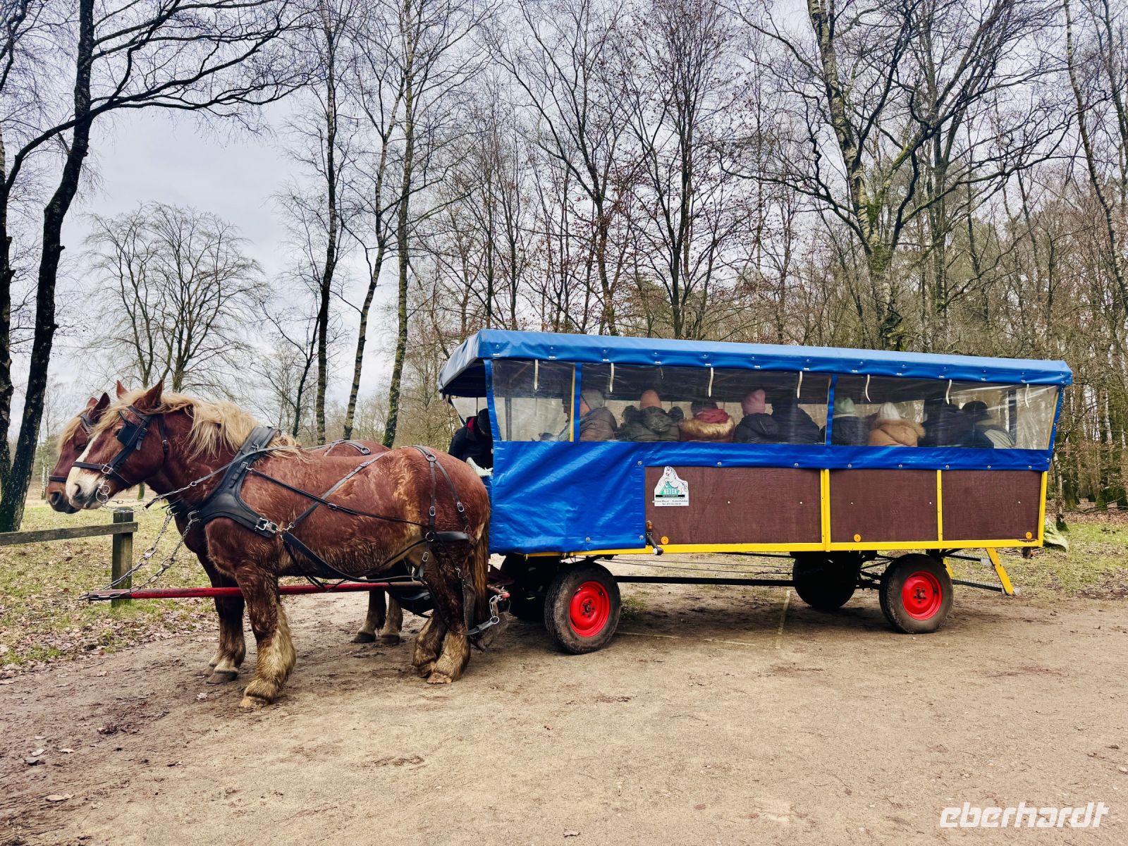 Tag 4 - Kutschfahrt durch die Heide