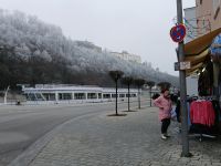  an der Donau; im Hintergrund die Veste Oberhaus