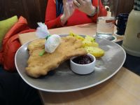 leckere Speisen .....