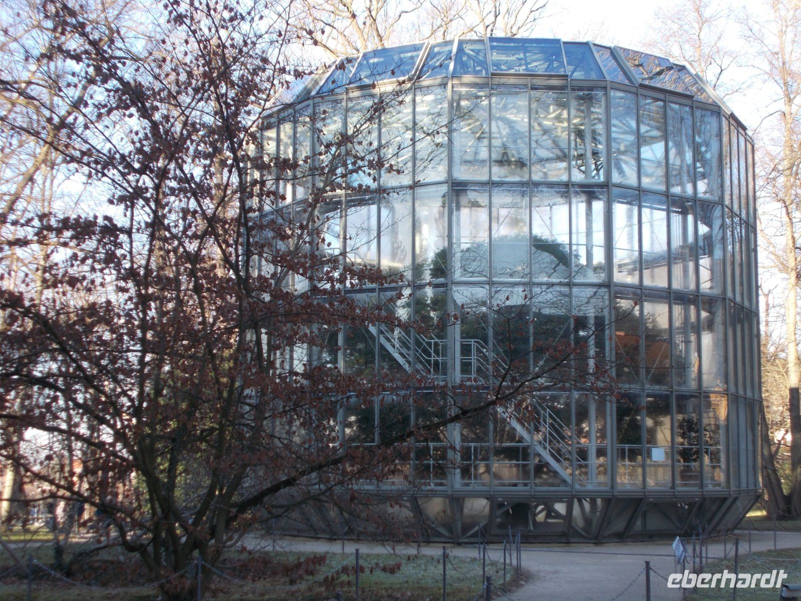 DSCN9609.JPG Kamelien Glashaus