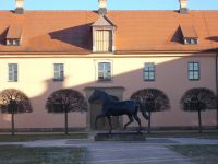 DSCN9618.JPG  Moritzburg Gestüt