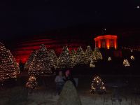 DSCN9658.JPG  Licht und Wein , Schloss Wackerbarth