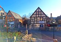 Stadtrundfahrt in Dresden Loschwitz