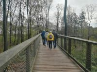 Auf dem Baumwipfelpfad