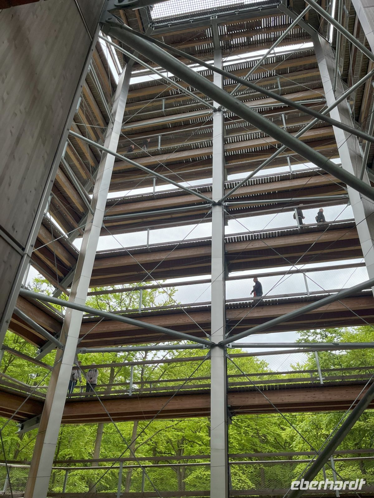 Turmaufgang Baumwipfelpfad