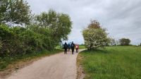 Wanderung von Wustrow nach Ahrenshoop