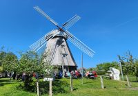 Windmühle in Ahrenshoop