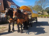 Pferdekutsche in Prerow