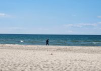 Steine sammeln am Strand von Dierhagen