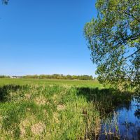  Felder bei Dierhagen