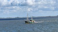 Fischerboot - Idylle im Wattenmeer