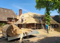 Deckung eines Reetdaches