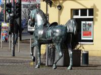 Dieses Pferd steht in Berlin-Köpenick!