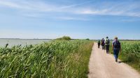 Wanderung am Bodden