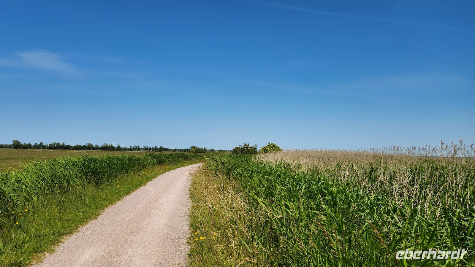 Wanderweg am Bodden