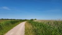 Wanderweg am Bodden