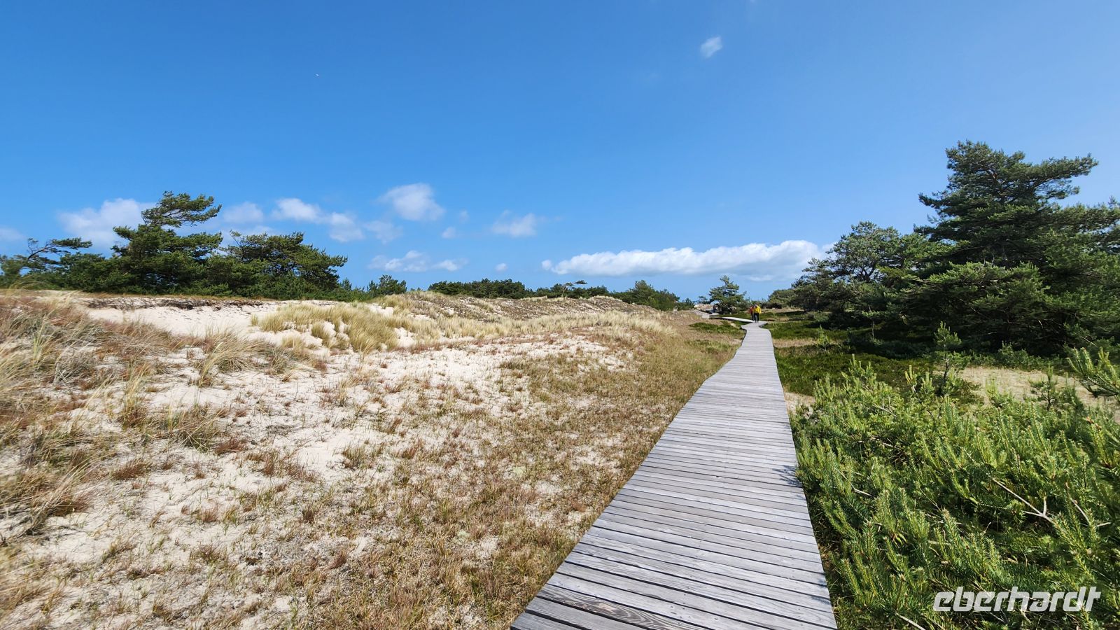 Bohlenweg Darßer Ort