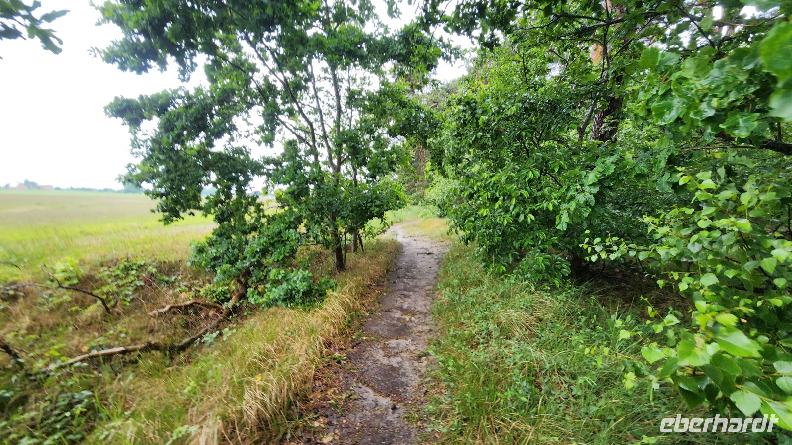 Wanderung nach Wustrow