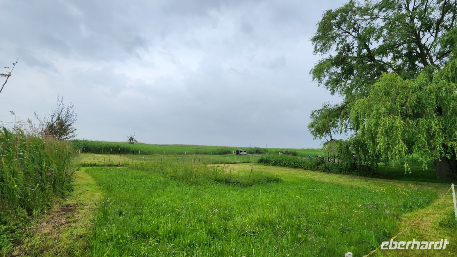 Wanderung am Bodden nach Wustrow