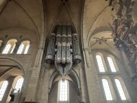 Trier - Schwalbennestorgel