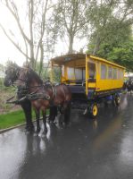 Pferdekutsche 