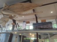 Nationalparkhaus Spiekeroog 