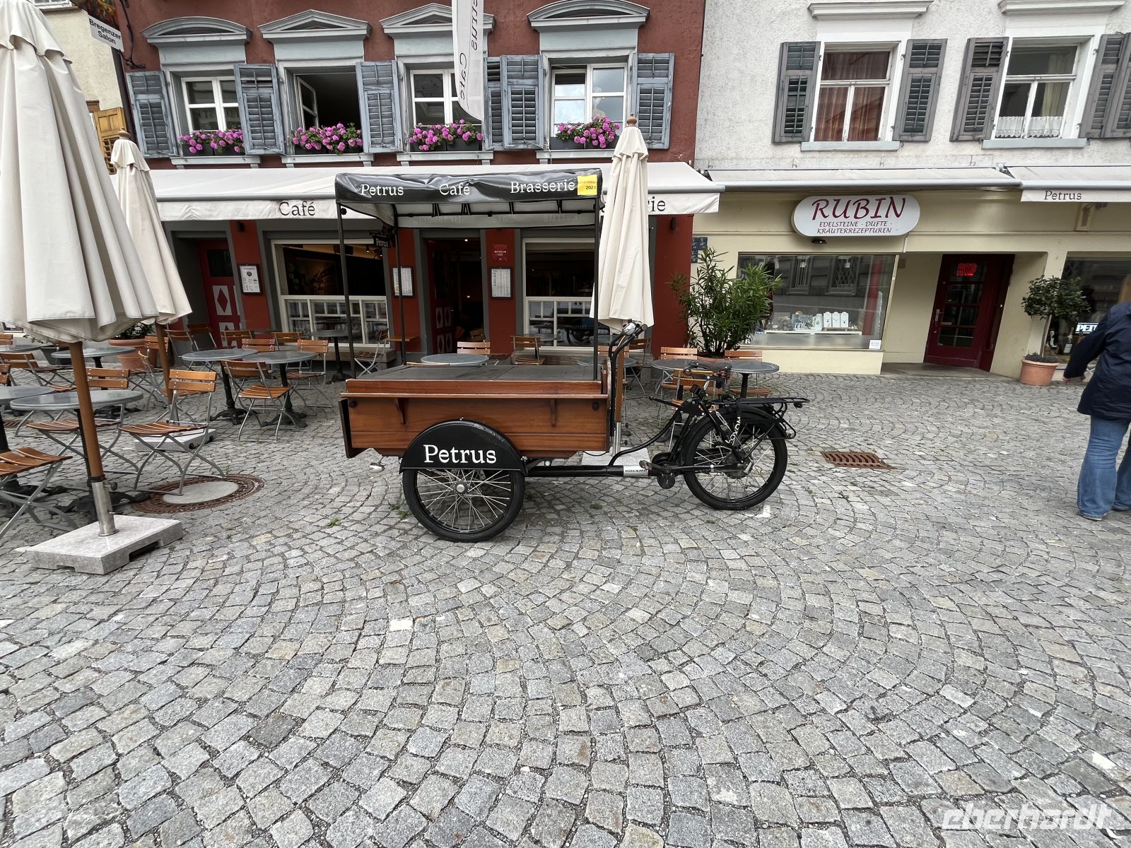 Bodenseerundreise 8.06.25. Bregenz - Stadtführung - 