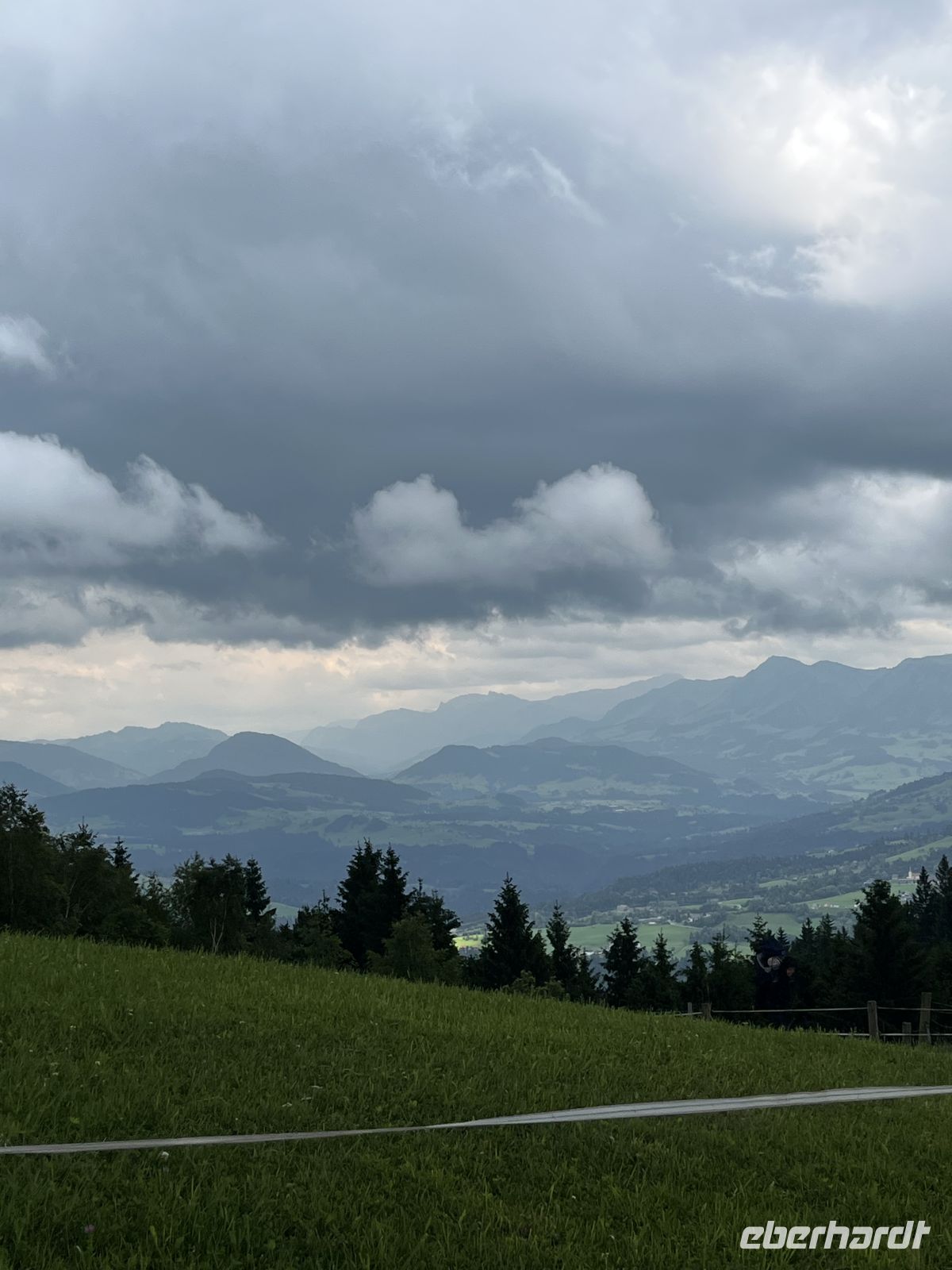 Bodenseerundreise 8.06.25  Bregenz - Auf dem Pfänder - Blick auf die Alpen