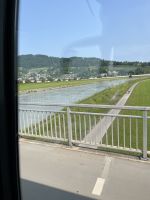 Bodenseerundreise 9.06.25 Insel Mainau -Rheinbrücke