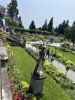Bodenseerundreise 9.06.25 Insel Mainau -Rosengarten