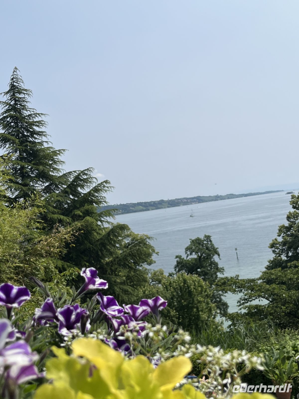 Bodenseerundreise 9.06.25 Insel Mainau - Blick auf dem Bodensee